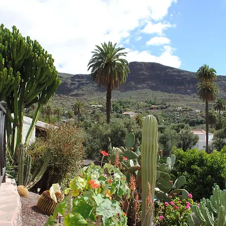 El Olivar - La Oliva Villa Santa Lucia De Tirajana