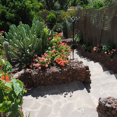 El Olivar - La Oliva Villa