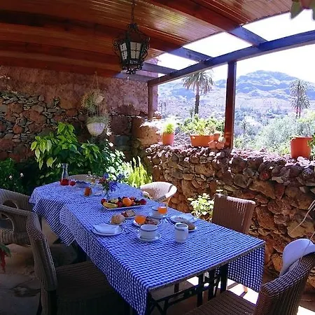 El Olivar - La Oliva